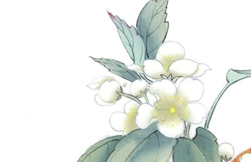 63年屬兔的女的婚姻，63年屬兔的婚姻如何