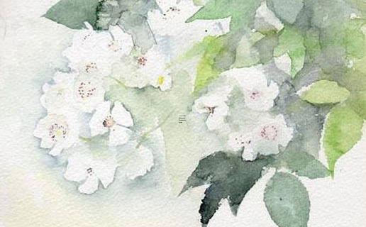 寓意特別好的朱姓女孩名字 寓意特別好的朱姓女孩名字有哪些 寓意特別好的朱姓女孩名字 寓意特別好的朱姓女孩名字有哪些