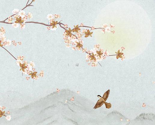 生辰八字算命學什么 生辰八字算命學什么比較好 生辰八字算命學什么 生辰八字算命學什么比較好