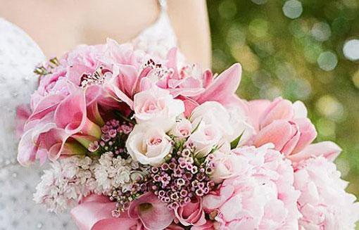 數碼寶貝十二星座