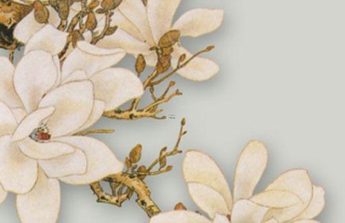 2023年六月五行屬什么