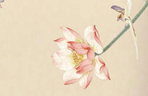 什么是八字輕 八字輕重查詢表