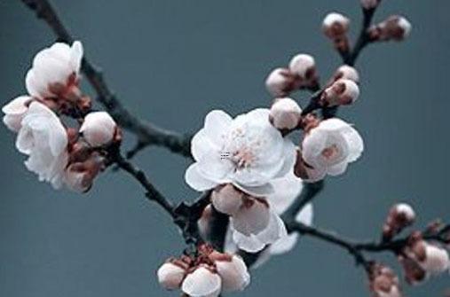 免費測試倆人合適不合適 測試兩人合不合 免費測試倆人合適不合適 測試兩人合不合