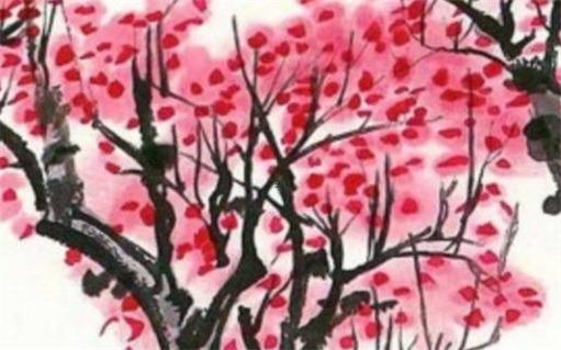 71年屬豬人最佳婚配，71年豬最宜婚配對(duì)象