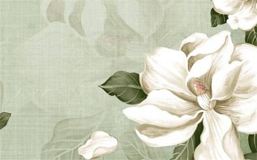 1982屬猴，1982屬猴劫難三次