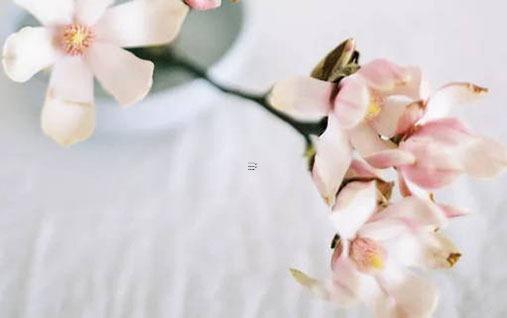 什么樣的八字有名聲 什么樣的八字有名氣 什么樣的八字有名聲 什么樣的八字有名氣