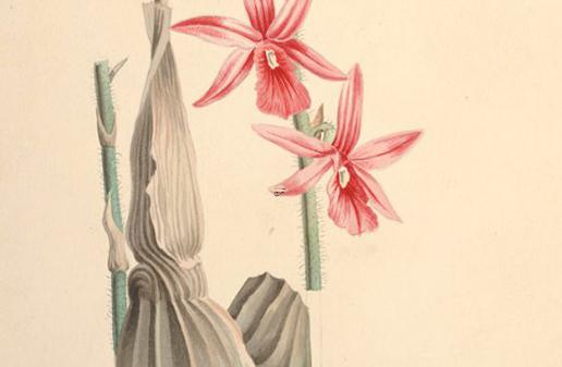 八字成勢(shì)意思是什么意思 八字成勢(shì)做功 八字成勢(shì)意思是什么意思 八字成勢(shì)做功