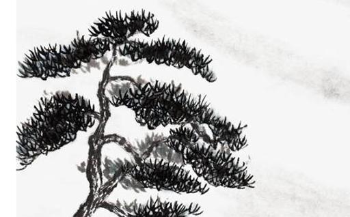 83年屬豬女的婚配，83年屬豬女婚配87年兔男好嗎