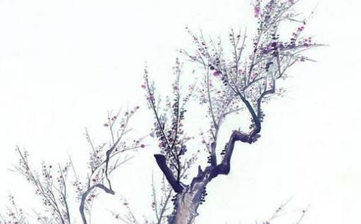 屬龍的2000年生男，屬龍2000年出生的男孩婚姻