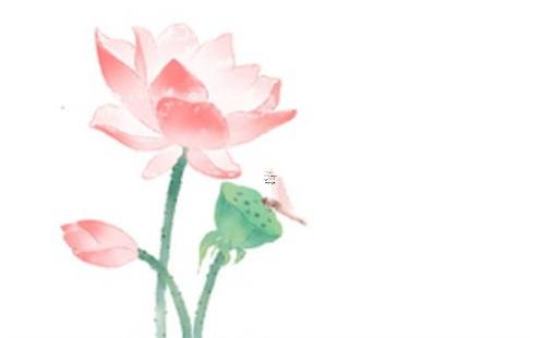 屬龍2023年桃花運(yùn)生肖是什么，屬龍2023年桃花運(yùn)生肖是什么意思