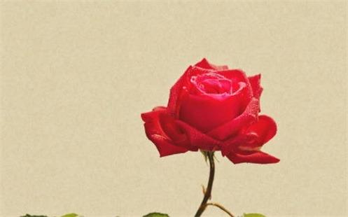 什么八字要過房 什么樣的八字要過繼 什么八字要過房 什么樣的八字要過繼