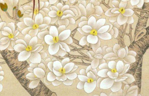 1971年屬豬的今年多少周歲,1971年屬豬的今年多大