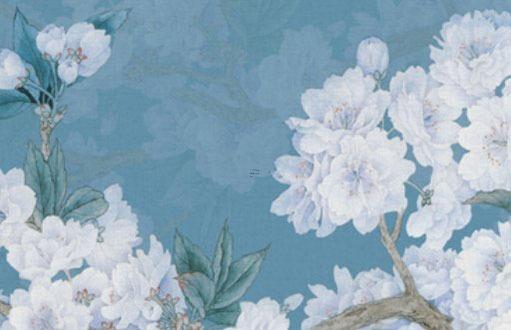 屬龍的終身壽年 屬龍人壽命多長 屬龍的終身壽年 屬龍人壽命多長