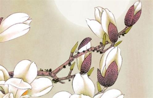 八字里什么叫制化 八字制化兩立怎么通關 八字里什么叫制化 八字制化兩立怎么通關