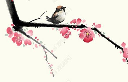 屬龍女2023年每月運(yùn)勢(shì) 屬龍女2023年每月運(yùn)勢(shì)