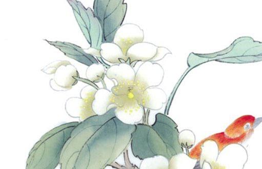 80年屬猴婚配表 80年屬什么生肖婚配表-80年屬猴婚配 80年屬猴婚配表 80年屬什么生肖婚配表-80年屬猴婚配