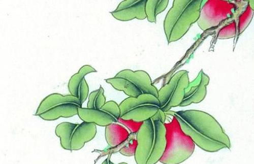 屬鼠的最佳婚配是哪個屬相,屬鼠的最佳配偶 屬鼠的最佳婚配是哪個屬相,屬鼠的最佳配偶