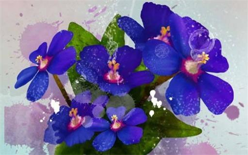 八字喜木走壬辰大運是什么運 八字喜木走什么大運好 八字喜木走壬辰大運是什么運 八字喜木走什么大運好