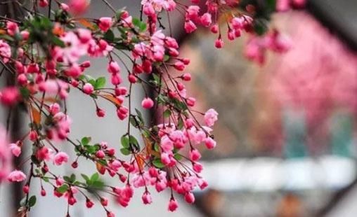 敖姓歷史名人 敖姓歷史人物 敖姓歷史名人 敖姓歷史人物