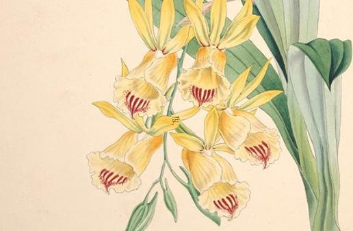 八字火旺取什么名字好 八字火旺的女人起名注意什么 八字火旺取什么名字好 八字火旺的女人起名注意什么