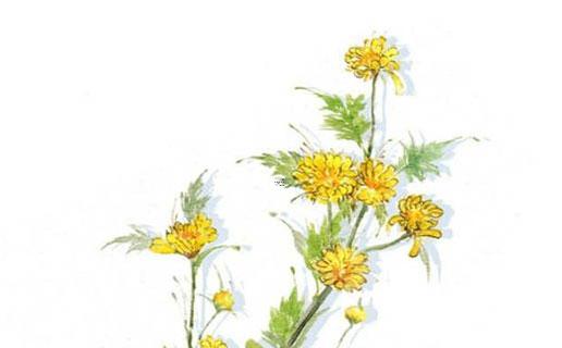 公司起名大全 公司起名大全2023最新版的 公司起名大全 公司起名大全2023最新版的