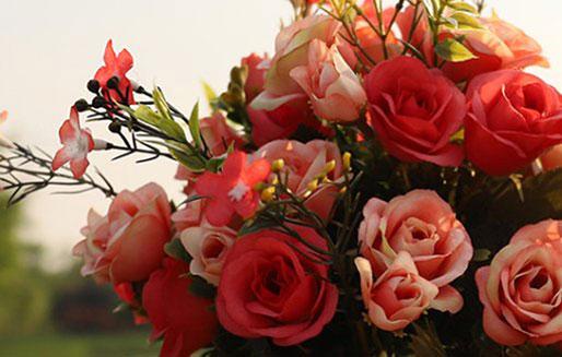 那些星座天生漂亮 那些星座天生漂亮