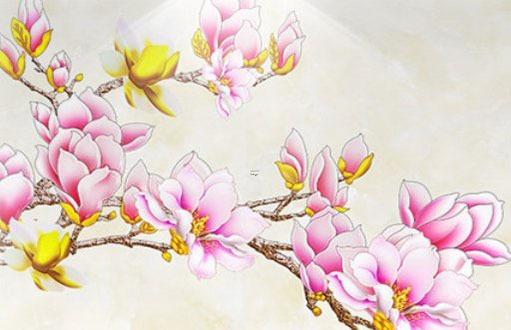 2023年屬兔什么屬性 2023年屬兔什么屬性