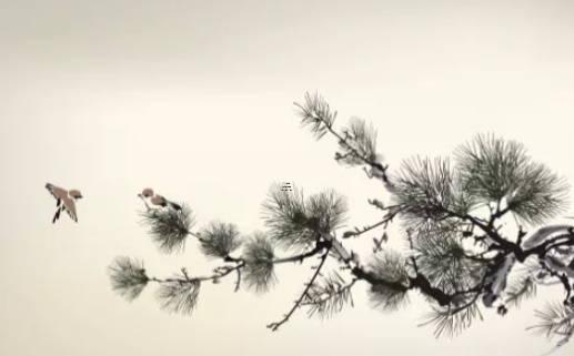 離婚后又復(fù)婚算不算二婚 離完婚又復(fù)婚屬于2婚嗎 離婚后又復(fù)婚算不算二婚 離完婚又復(fù)婚屬于2婚嗎