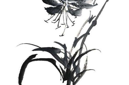 2023年屬蛇去掙大錢 2023年屬蛇去掙大錢