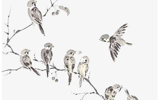 2020年屬鼠的董姓女寶寶起名大全 姓董屬鼠的女孩名字 2020年屬鼠的董姓女寶寶起名大全 姓董屬鼠的女孩名字