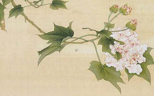 臉部八字區叫什么 臉部八字紋叫什么 臉部八字區叫什么 臉部八字紋叫什么