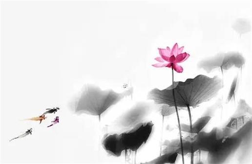 屬兔人不能養(yǎng)啥花 屬兔的人養(yǎng)什么花合適 屬兔人不能養(yǎng)啥花 屬兔的人養(yǎng)什么花合適