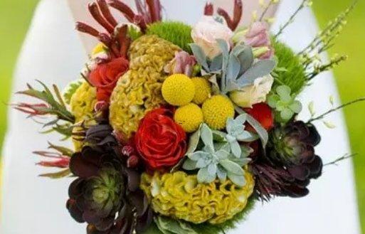 伊麗莎白二世星座