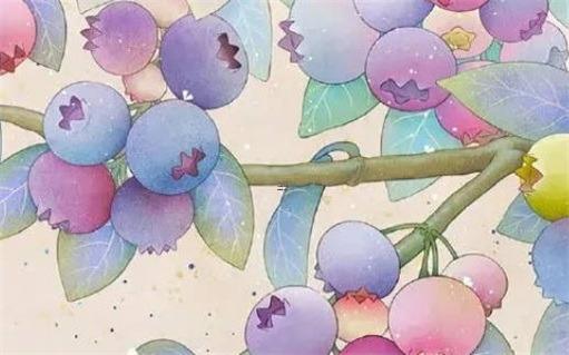 22年屬猴的幾歲了，屬猴的二零二一年多大了