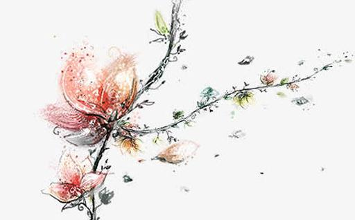 60多歲屬猴的今年多大,60多歲屬猴的是哪一年出生的 60多歲屬猴的今年多大,60多歲屬猴的是哪一年出生的