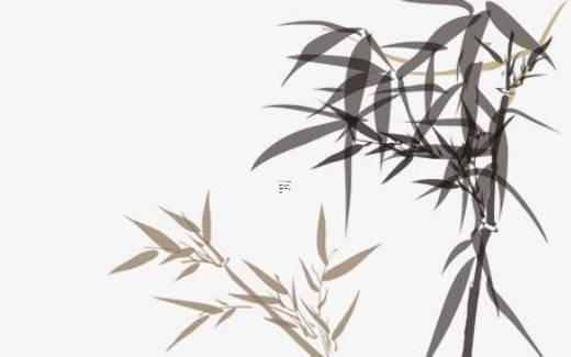 八字火旺缺水養(yǎng)什么植物好 火旺缺水的人適合什么職業(yè)