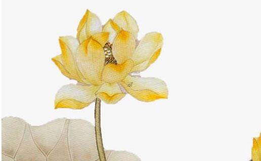 戴姓女孩有內(nèi)涵的名字 古典溫柔女寶寶名字推薦 戴姓女孩有內(nèi)涵的名字 古典溫柔女寶寶名字推薦