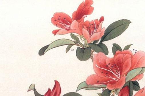 屬龍男人婚配,屬龍男的婚配表 屬龍男人婚配,屬龍男的婚配表