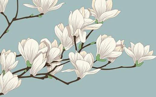 八字看你什么時候桃花運會到來 八字排盤看桃花什么時候出現 八字看你什么時候桃花運會到來 八字排盤看桃花什么時候出現