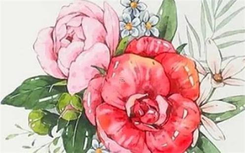 2023年屬猴水瓶女運勢，2023年屬猴水瓶女運勢