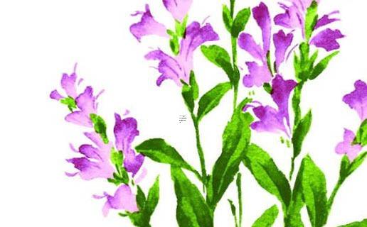 姓曹女孩高貴優(yōu)雅名字隨你選擇 有關(guān)姓曹女孩名字大全 姓曹女孩高貴優(yōu)雅名字隨你選擇 有關(guān)姓曹女孩名字大全