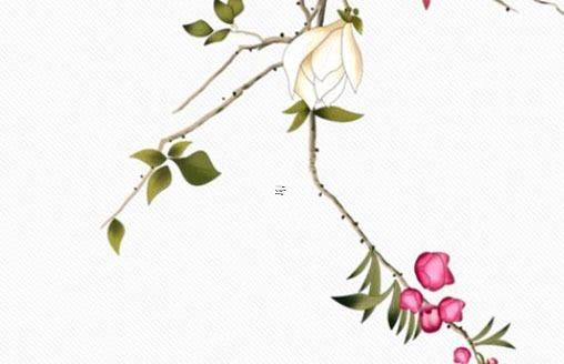 農(nóng)歷六月出生蛇寶寶取名 農(nóng)歷六月的蛇寶寶 農(nóng)歷六月出生蛇寶寶取名 農(nóng)歷六月的蛇寶寶