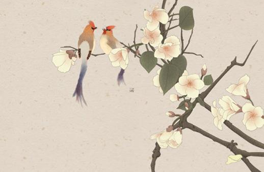 八字雙魚是什么意思 一個(gè)人是雙八字是啥意思 八字雙魚是什么意思 一個(gè)人是雙八字是啥意思