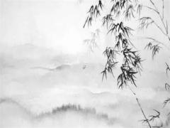 今年哪個(gè)月份和屬鼠相沖 屬鼠犯沖的月份