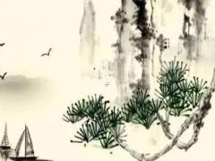 屬豬的適合購買樓層 屬豬要買什么樓層