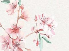 76年屬龍的2023年多大了,76年2023年屬龍人的全年運勢