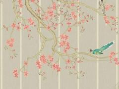 烏龜養(yǎng)5只還是6只 烏龜養(yǎng)五只吉利還是4只吉利