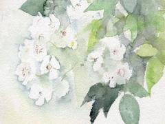 好聽的謝姓女寶寶取名 好聽的謝姓女寶寶取名兩個字