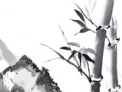 屬蛇的人適合戴什么樣的吊墜 屬蛇的佩戴什么吊墜好