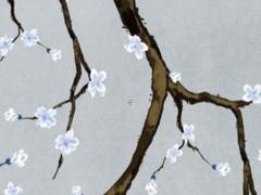 2019什么八字財(cái)運(yùn) 2019年生辰八字